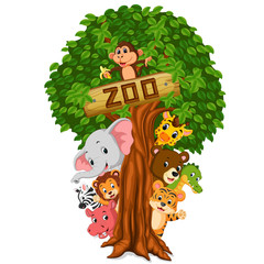 Poster - funny animal hiding behind a tree