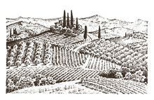 Rustic Vineyard. Rural Landscape With Houses. Solar Tuscany Background. Fields And Cypress Trees. Harvesting And Haystacks. Engraved Hand Drawn In Old Sketch And Vintage Style For Label.