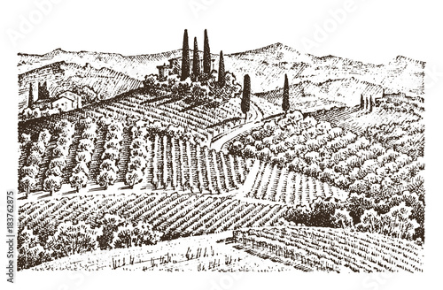 Dekoracja na wymiar  rustykalna-winnica-wiejski-krajobraz-z-domami-sloneczna-toskania-tlo-pola-i-cyprys