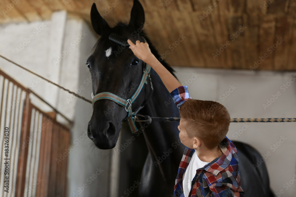 Cute boy with horse on farm