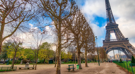 Poster - The Eiffel Tower from Champs de Mars in winter - France