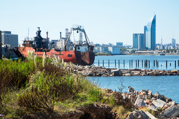 Wall Mural - View of different parts of port zone of Montevideo
