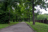 Fototapeta Na ścianę -  alley in the park