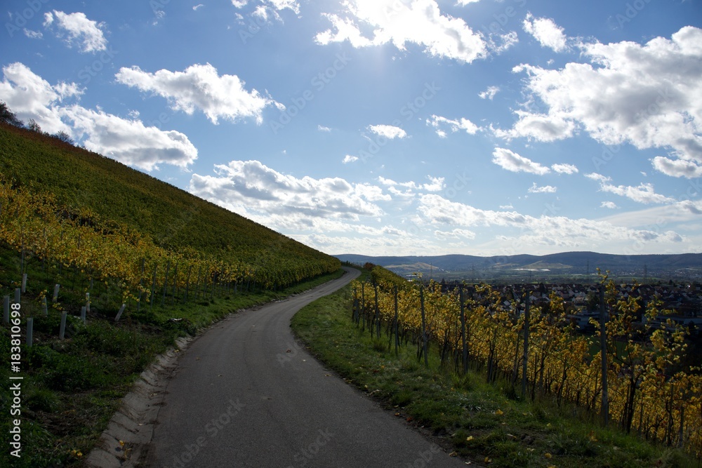 Goldener Weinbergweg im Herbst