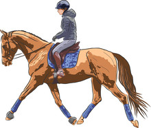 Sketch Of A Woman Riding On A Horse.