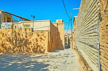 Canvas Print - Housing of old Shiraz, Iran