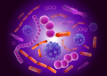 Soup Of Bacteria Free Stock Photo Public Domain Pictures