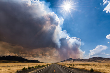 Driving into the wildfire