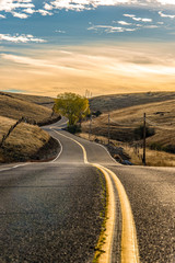 Road in the foothills