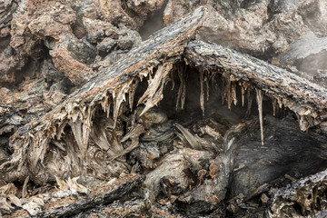 Wall Mural - Solid  lava fields. Russia, Kamchatka,  the end of the  eruption of the volcano Tolbachik, August 2013