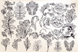 Collection of vector decorative floral elements in vintage style