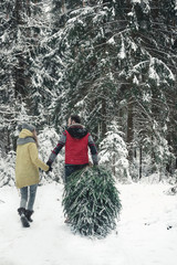 Beautiful Caucasian cople bringing a Christmas tree back home from forest