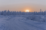 Fototapeta Natura - Sundown and sunrises. Winter landscape. Orange sky and silhouettes of trees on the background of heaven. Frosty evening, snow around. North
