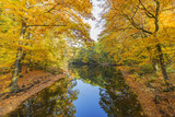 Fototapeta Natura - Breathtaking Autumn Landscape at Krefeld / Germany