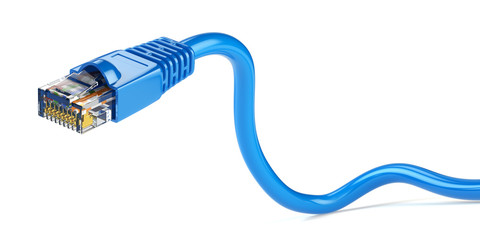 Leinwandbilder - LAN network connection ethernet cable. Internet cord RJ45 isolated on white background. 3d