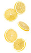 lemon slices isolated on a white background