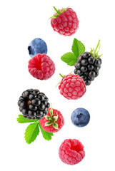 berry mix isolated on a white background