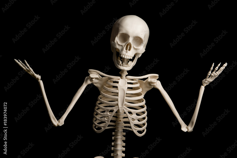 Portrait of surprised skeleton standing over black background. - obrazy, fototapety, plakaty 