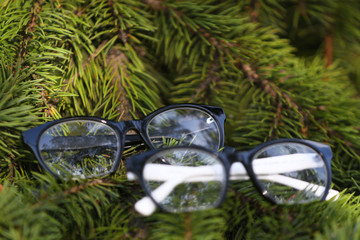 Wall Mural - A pair of eyeglasses hanging on a fir branch