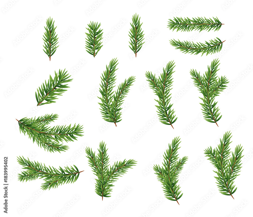 Collection Set of Realistic Fir Branches for Christmas Tree, Pine. Vector Illustration - obrazy, fototapety, plakaty 