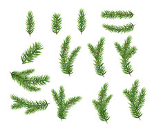 Collection Set Of Realistic Fir Branches For Christmas Tree, Pine. Vector Illustration