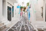 Fototapeta Na drzwi - The narrow streets of greek island with cat. Beautiful architecture building exterior with cycladic style.