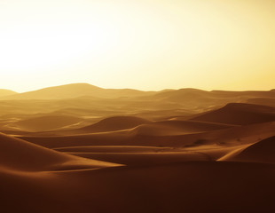 Wall Mural - Sahara Desert Morocco