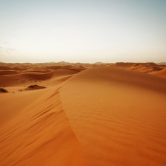 Wall Mural - Sahara Desert Morocco