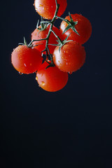 Sticker - Red tomatoes on black background