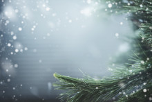Wonderful Winter Background With Fir Branches And Snow. Winter Holidays And Christmas Concept