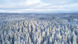 © raland - aerial view of beautiful winter forest