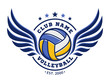 Volleyball club logo, emblem, icons, designs templates with volleyball ball and wings on a light background