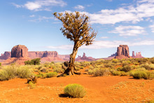 View Of Monument Valley Desert