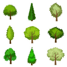 Set Of Vector Seasoned Trees, Flat Style