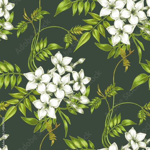 Vector seamless floral pattern with jasmine flowers. Poster Mural XXL