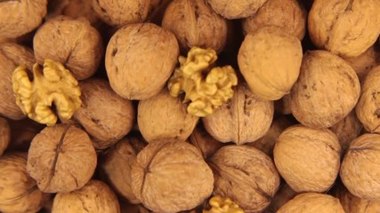 Wall Mural - Study with a magnifying glass, background made from walnuts.