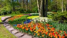 Spring Formal Garden. Beautiful Garden Of Colorful Flowers