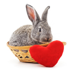 Poster - Little bunny in a basket.