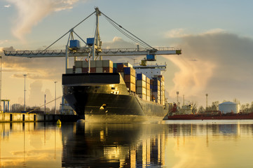 Wall Mural - container ship in the port