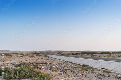 Fotografia, Obraz Bush along the desert road. Namibe. Angola.