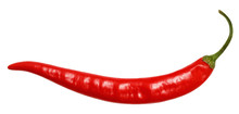 Ripe Red Chili Pepper On White Isolated Background