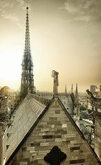 Wall Mural - notre dame aerial view