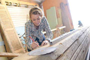 Wall Mural - female carpenter draws sketches in pencil in a notebook