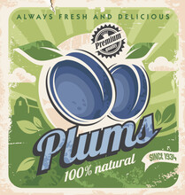 Farm Fresh Organic Plums Retro Poster Design. Plum Image On Old Paper Texture.