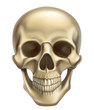 © Natis - Skull. 3d realistic vector icon