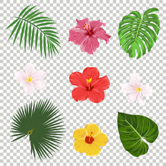 Wall Mural - Vector tropical leaves and flowers icon set isolated on transparency grid background. Palm, banana leaf, hibiscus and plumeria flowers. Jungle tree design templates. Botanical and floral collection