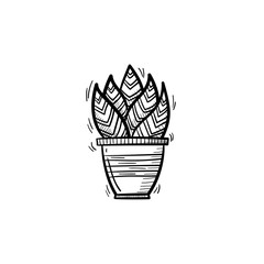 Poster - Vector hand drawn sansevieria trifasciata outline doodle icon. Decorative potted house plant sketch illustration for print, web, mobile and infographics isolated on white background.