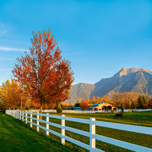Colorful Autumn Landscape Scene With Farm Fence And A Snowy Mountain In The Background
