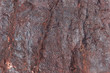 Surface of sandstone covered by iron oxides