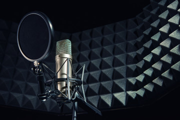 modern professional microphone in recording studio